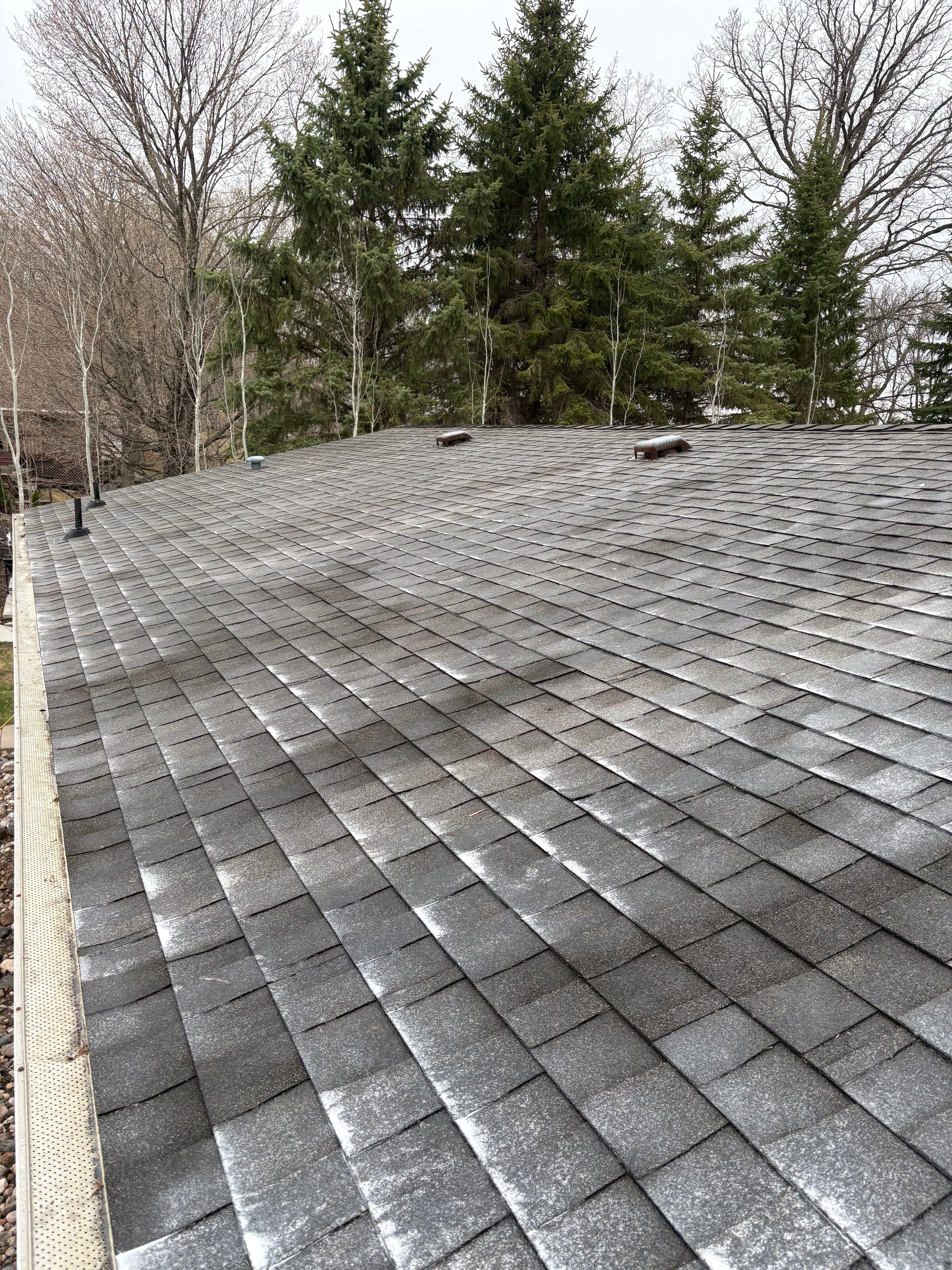 Project Roof Rejuvenation for Lakeside Homes That Take a Beating image
