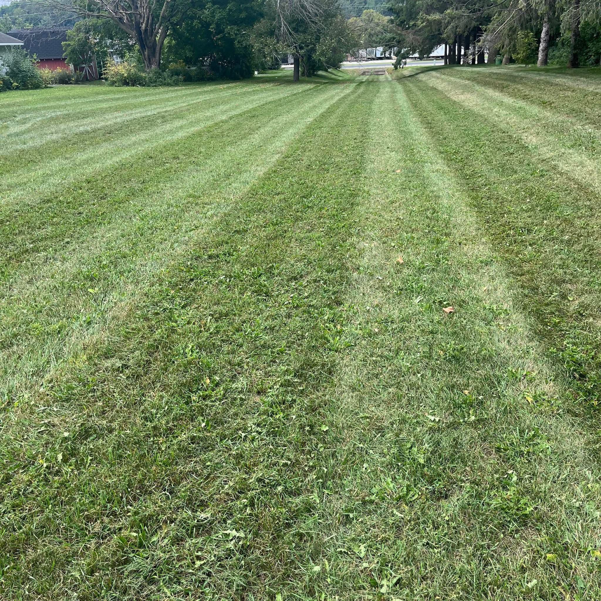 Project Fresh-Cut Grass and Perfect Lawn Lines image
