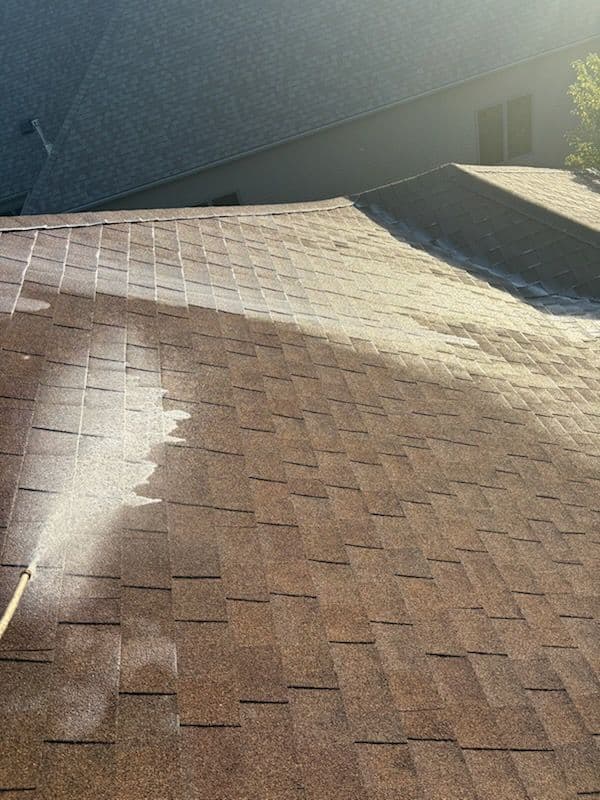 Extending Roof Life with Professional Rejuvenation