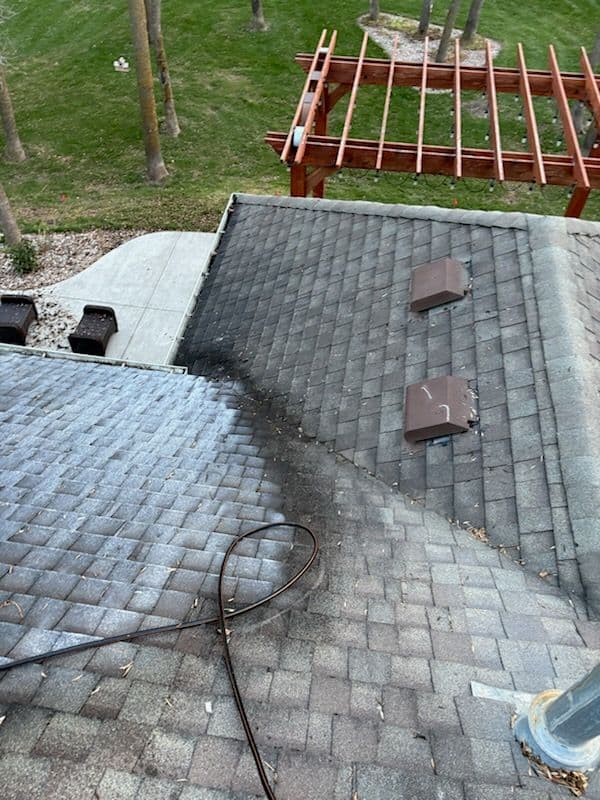 Gutter Cleaning and Roof Rejuvenation Services to Enhance Your Home's Beauty