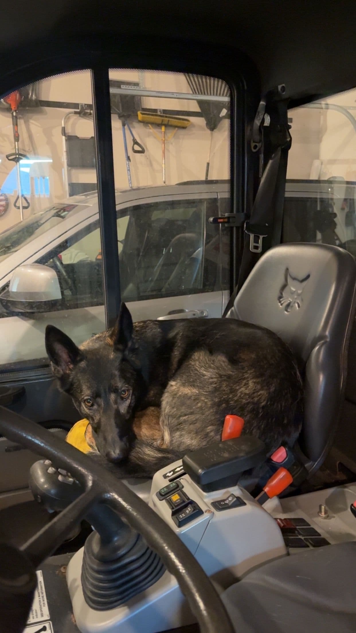 Welcoming Our Newest Team Member at B&W Outdoor Services image