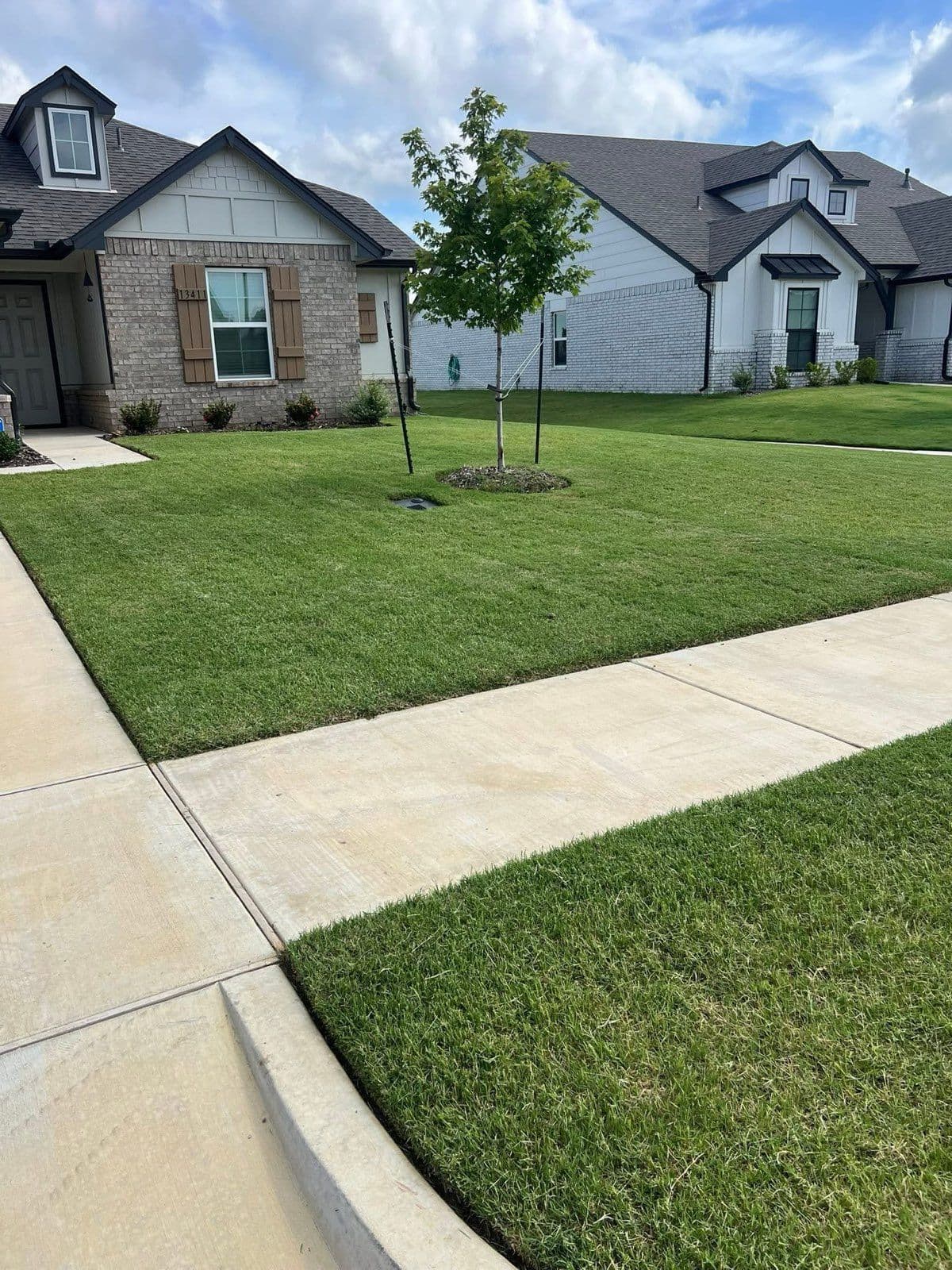 Project Achieve Picture-Perfect Lawns with B&W Outdoor Services image