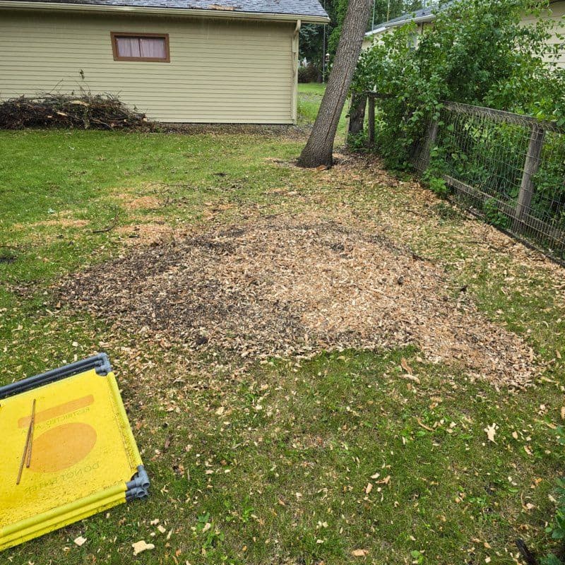 Project Expert Storm Damage Tree Removal Services image