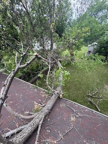Expert Storm Damage Tree Removal Services