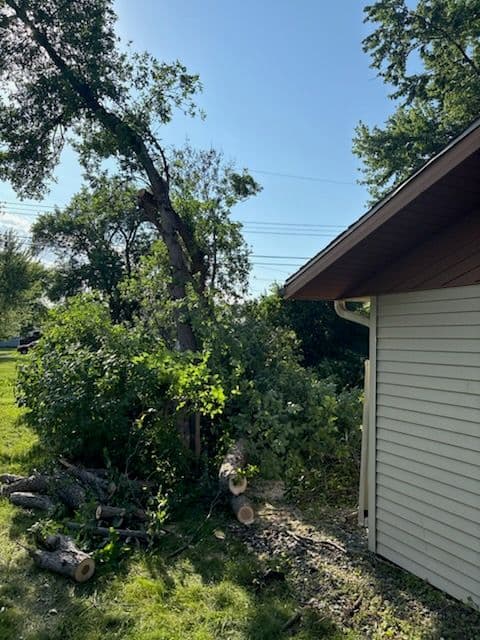 Expert Storm Damage Tree Removal Services